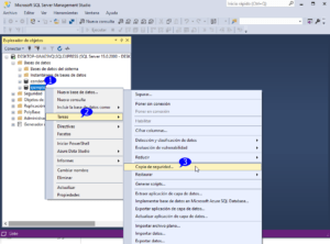 sql backup database