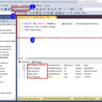 SQL CONCAT: Función Para Concatenar Valores sql concat