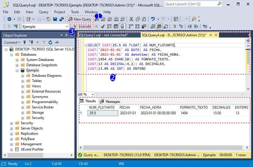 Sql Cast Sample