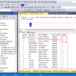 SQL RANK