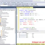 SQL integer: Tipo de datos SQL INTEGER