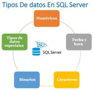 tipos de datos SQL server