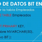 sql bit