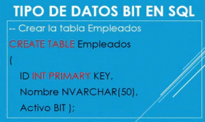 sql bit