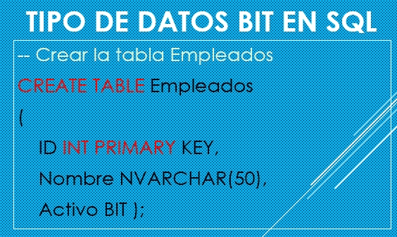 sql bit